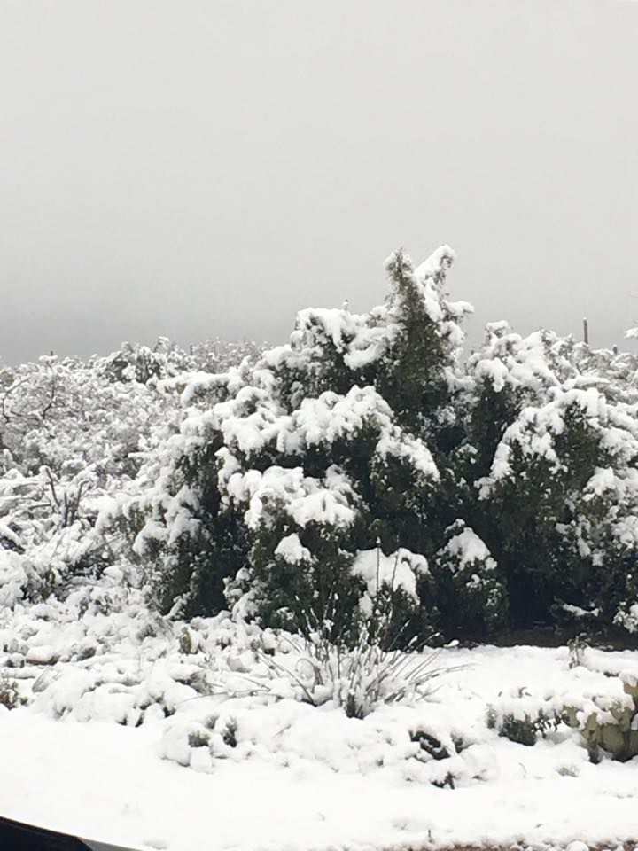 Snow in Tucson